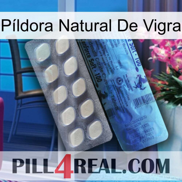 Píldora Natural De Vigra 34.jpg